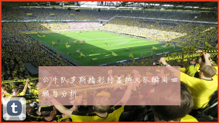 公牛队罗斯精彩封盖热火队瞬间回顾与分析